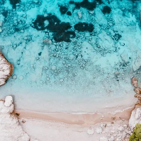 House Canis * Žuljana