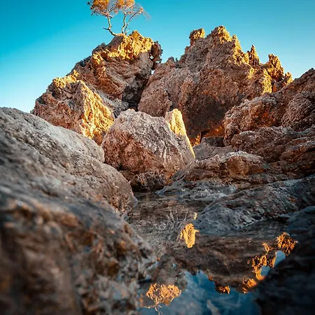 Σπίτι διακοπών House Canis Žuljana