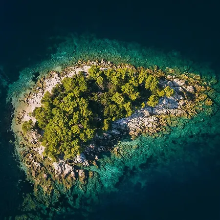 House Canis 펜션 *