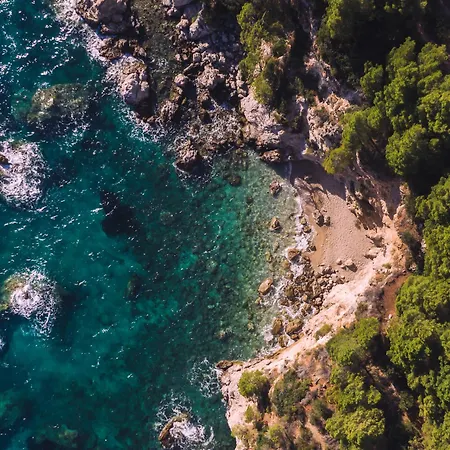 House Canis Žuljana