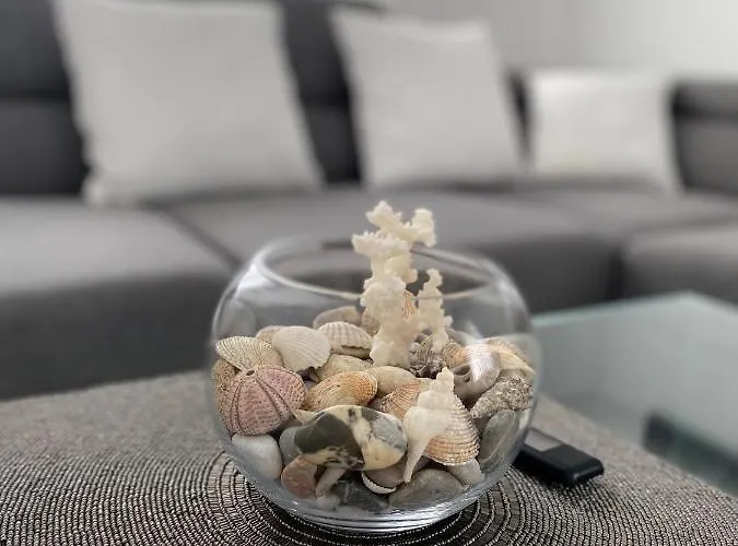 House Canis * Žuljana