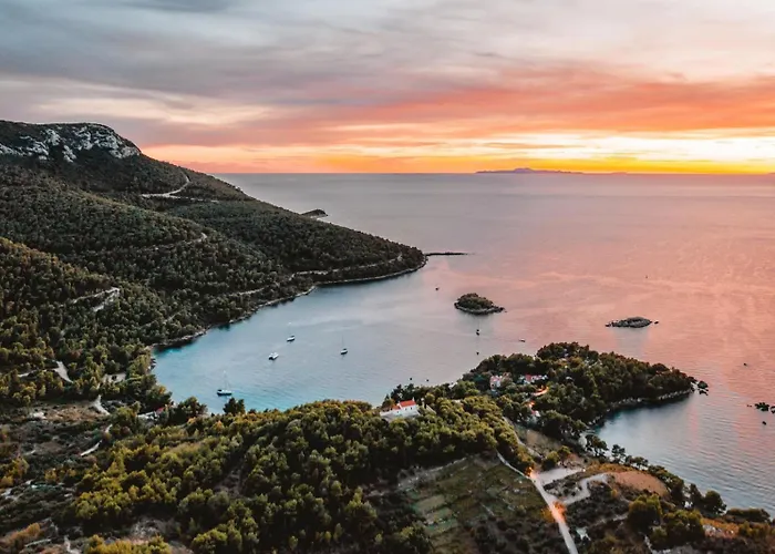 펜션 House Canis Žuljana