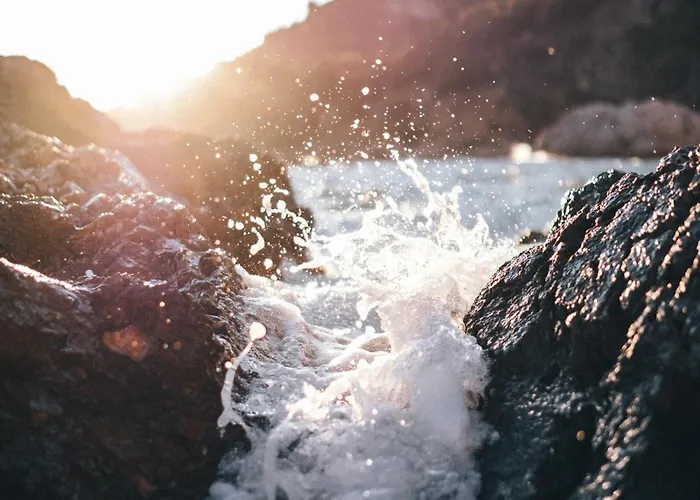 House Canis Žuljana