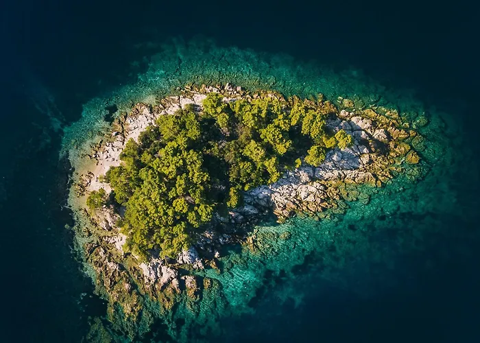 House Canis 펜션 *