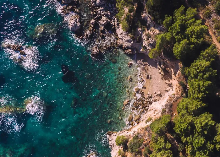 House Canis Žuljana